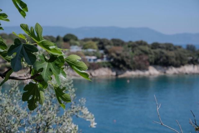 Alex Daire Drenje  Dış mekan fotoğraf